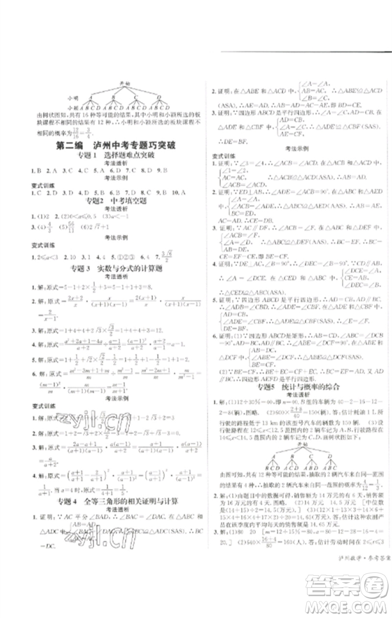 長江出版社2023中考復(fù)習(xí)總動(dòng)員九年級(jí)數(shù)學(xué)通用版瀘州專版參考答案