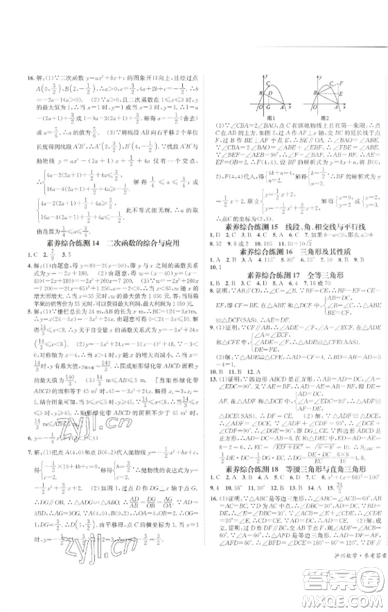 長江出版社2023中考復(fù)習(xí)總動(dòng)員九年級(jí)數(shù)學(xué)通用版瀘州專版參考答案