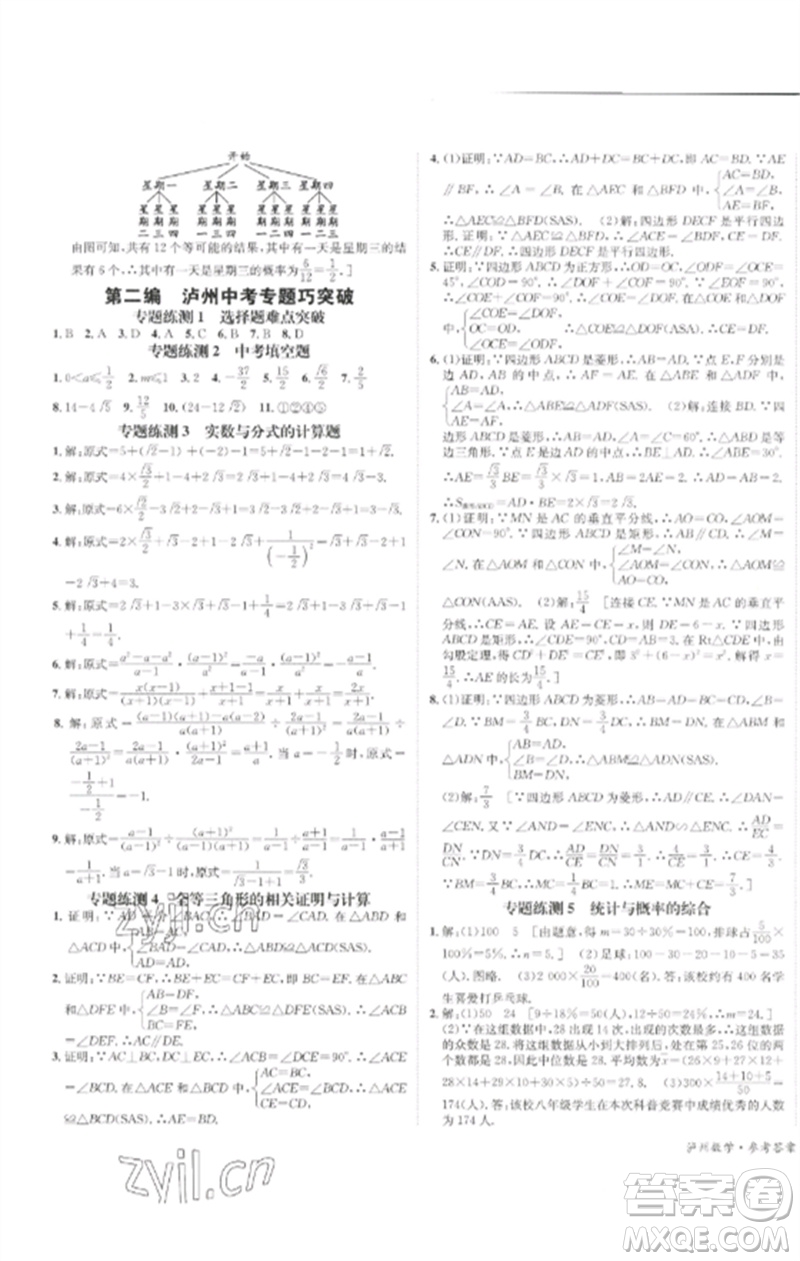 長江出版社2023中考復(fù)習(xí)總動(dòng)員九年級(jí)數(shù)學(xué)通用版瀘州專版參考答案
