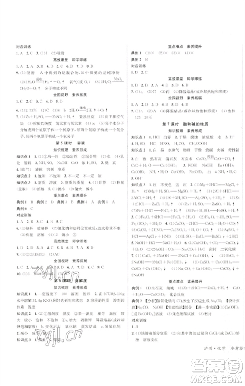 長江出版社2023中考復(fù)習(xí)總動員九年級化學(xué)通用版瀘州專版參考答案