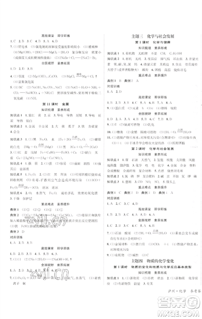 長江出版社2023中考復(fù)習(xí)總動員九年級化學(xué)通用版瀘州專版參考答案
