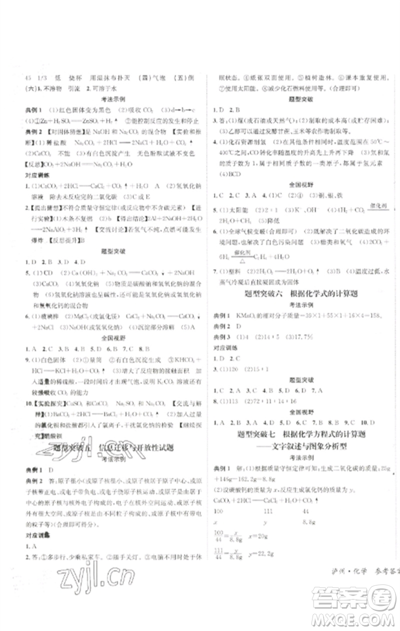 長江出版社2023中考復(fù)習(xí)總動員九年級化學(xué)通用版瀘州專版參考答案