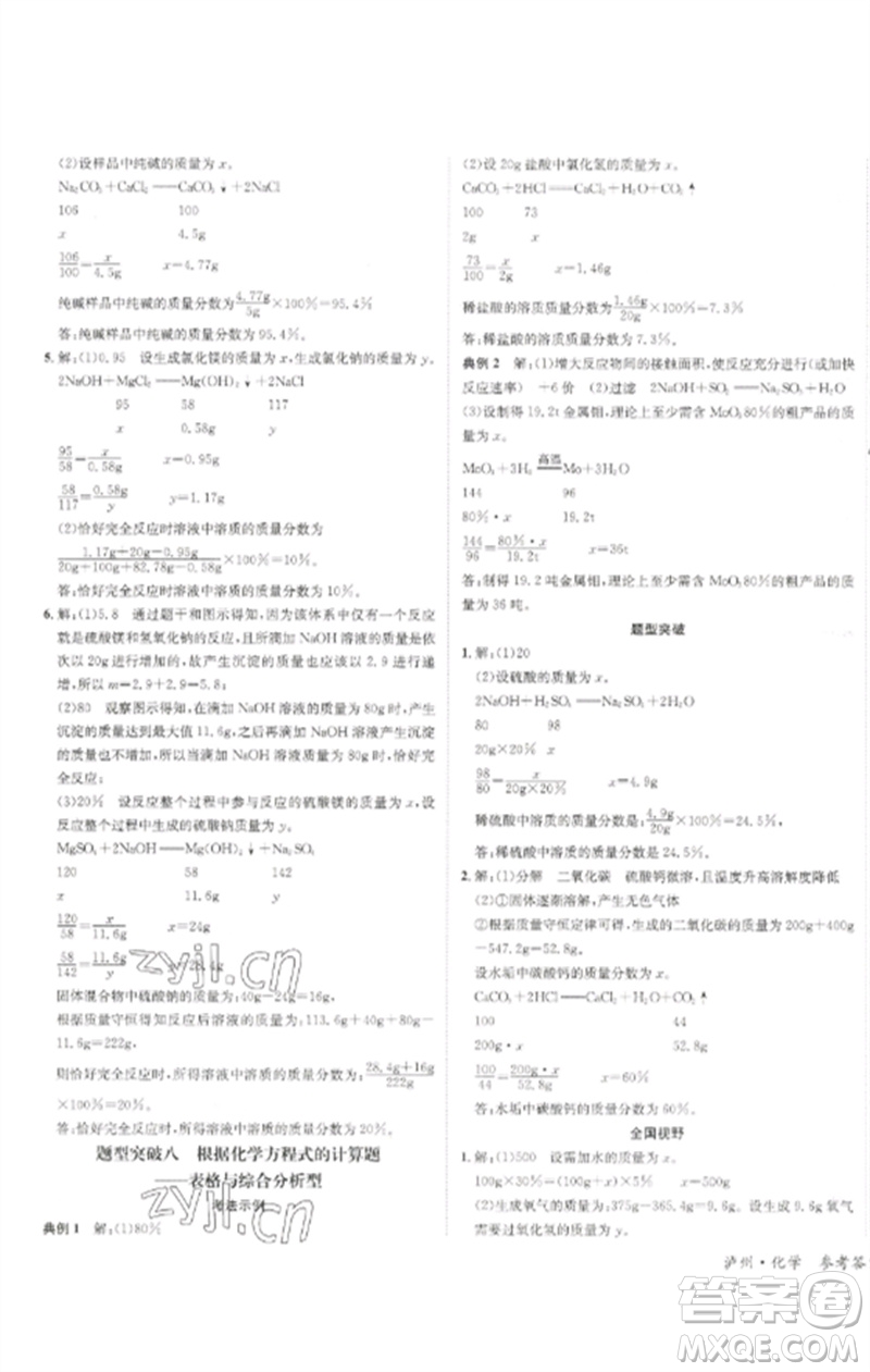 長江出版社2023中考復(fù)習(xí)總動員九年級化學(xué)通用版瀘州專版參考答案