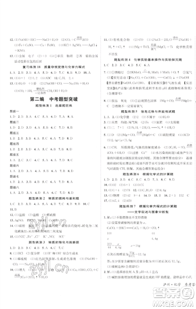 長江出版社2023中考復(fù)習(xí)總動員九年級化學(xué)通用版瀘州專版參考答案