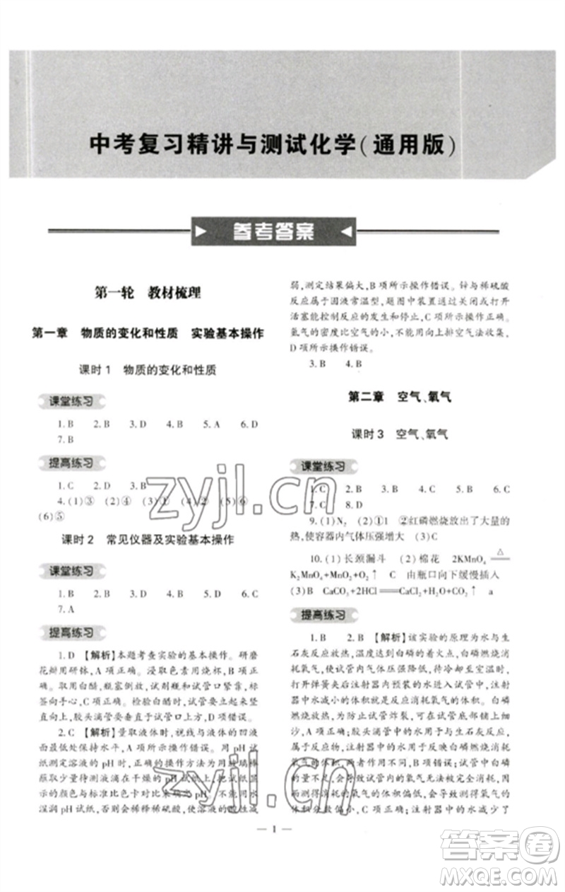 大象出版社2023中考復(fù)習(xí)精講與測(cè)試九年級(jí)化學(xué)通用版參考答案