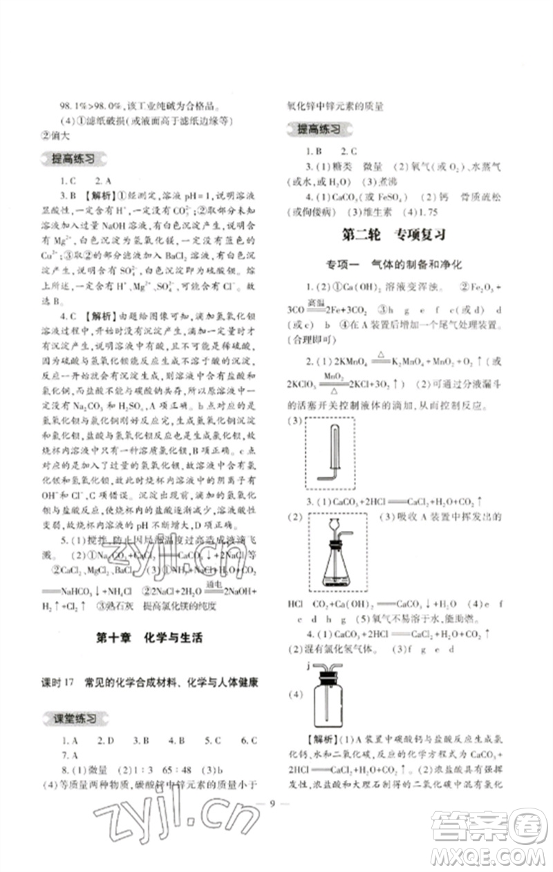 大象出版社2023中考復(fù)習(xí)精講與測(cè)試九年級(jí)化學(xué)通用版參考答案