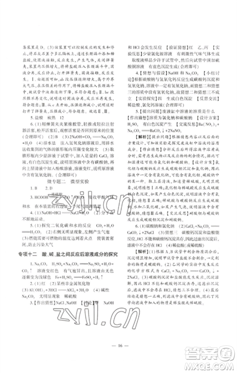 大象出版社2023中考復(fù)習(xí)精講與測(cè)試九年級(jí)化學(xué)通用版參考答案