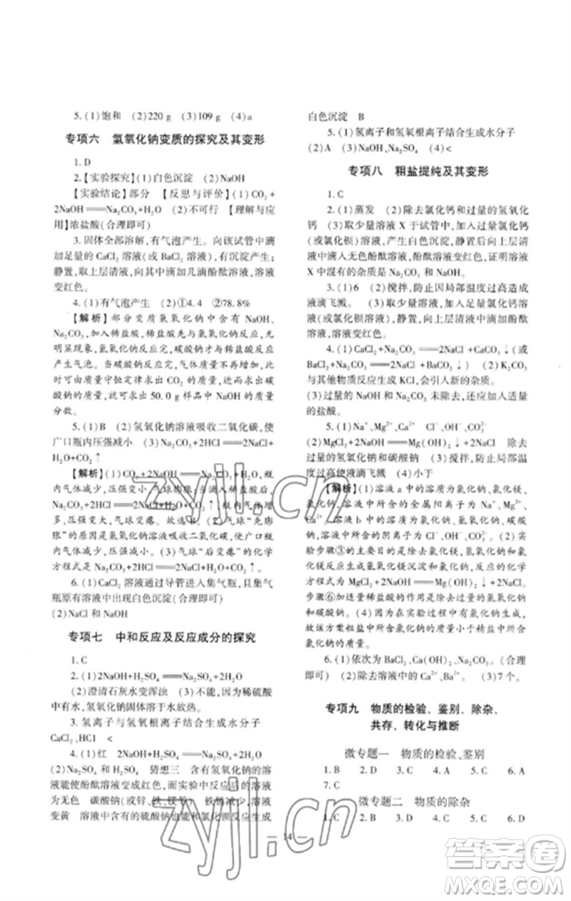 大象出版社2023中考復(fù)習(xí)精講與測(cè)試九年級(jí)化學(xué)通用版參考答案