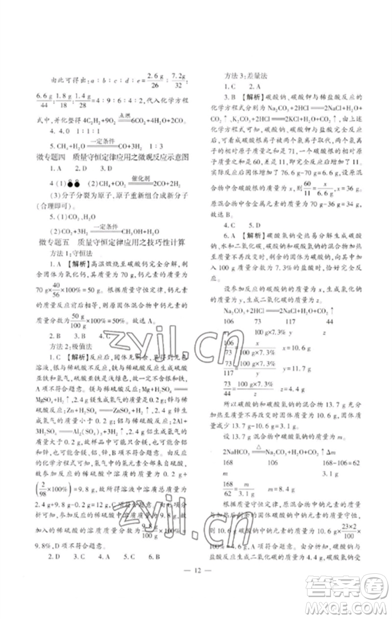 大象出版社2023中考復(fù)習(xí)精講與測(cè)試九年級(jí)化學(xué)通用版參考答案