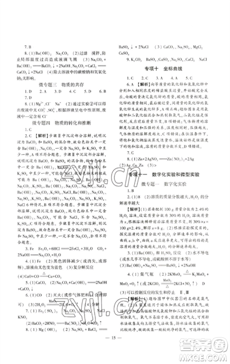 大象出版社2023中考復(fù)習(xí)精講與測(cè)試九年級(jí)化學(xué)通用版參考答案