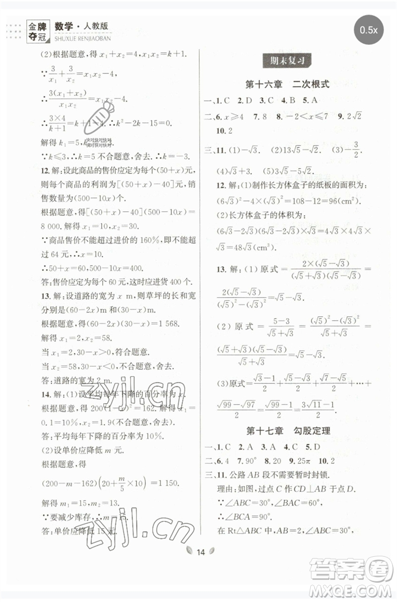 延邊大學出版社2023點石成金金牌奪冠八年級數(shù)學下冊人教版大連專版參考答案