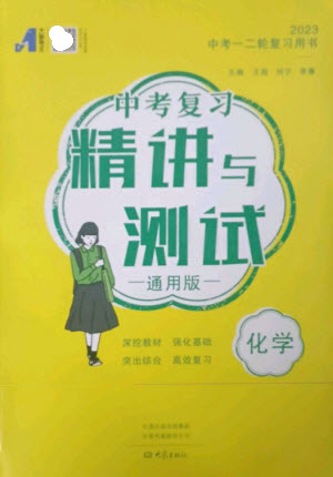 大象出版社2023中考復(fù)習(xí)精講與測(cè)試九年級(jí)化學(xué)通用版參考答案