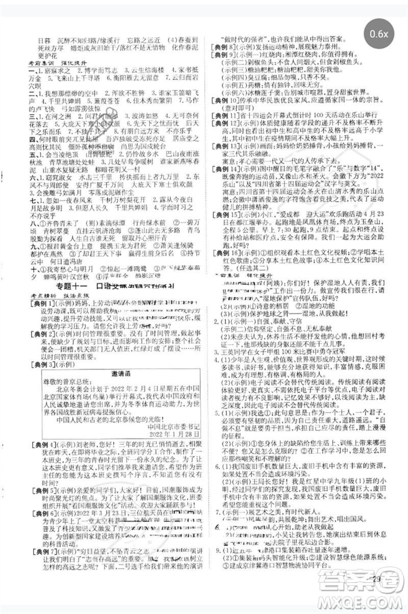 陜西人民教育出版社2023中考總復(fù)習(xí)導(dǎo)與練九年級(jí)語文人教版參考答案