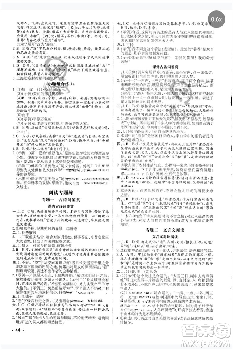 陜西人民教育出版社2023中考總復(fù)習(xí)導(dǎo)與練九年級(jí)語文人教版參考答案