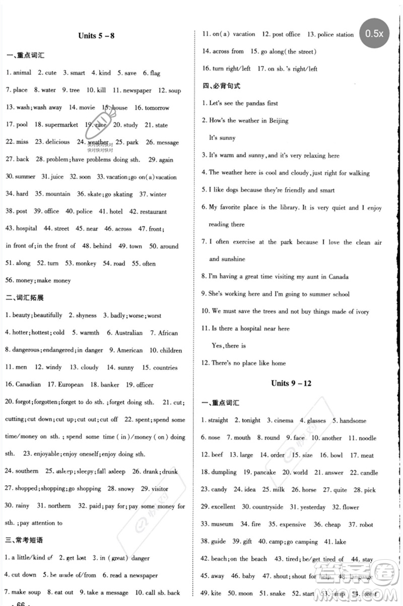 陜西人民教育出版社2023中考總復習導與練九年級英語精講冊人教版參考答案
