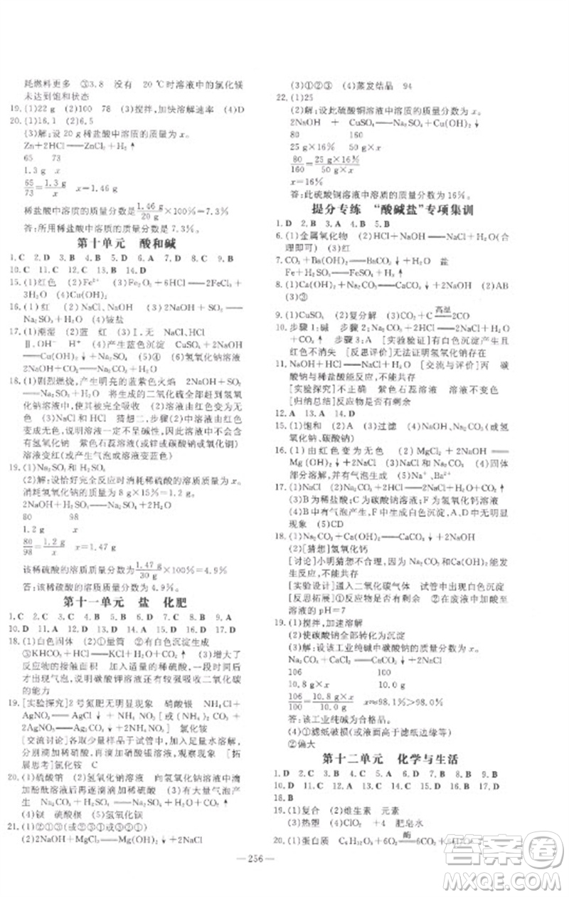陜西人民教育出版社2023中考總復(fù)習(xí)導(dǎo)與練九年級化學(xué)精講冊人教版參考答案