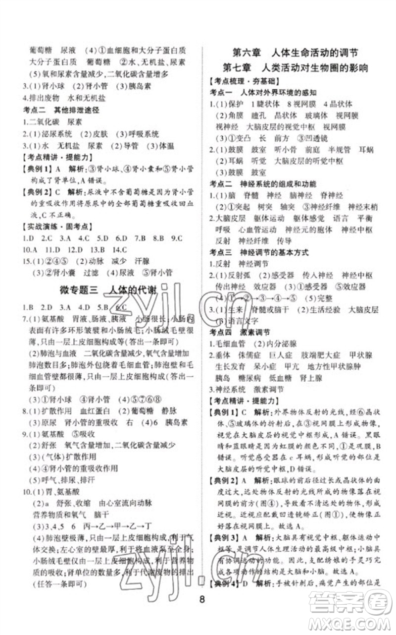 山東科學(xué)技術(shù)出版社2023初中總復(fù)習(xí)手冊(cè)九年級(jí)生物通用版參考答案