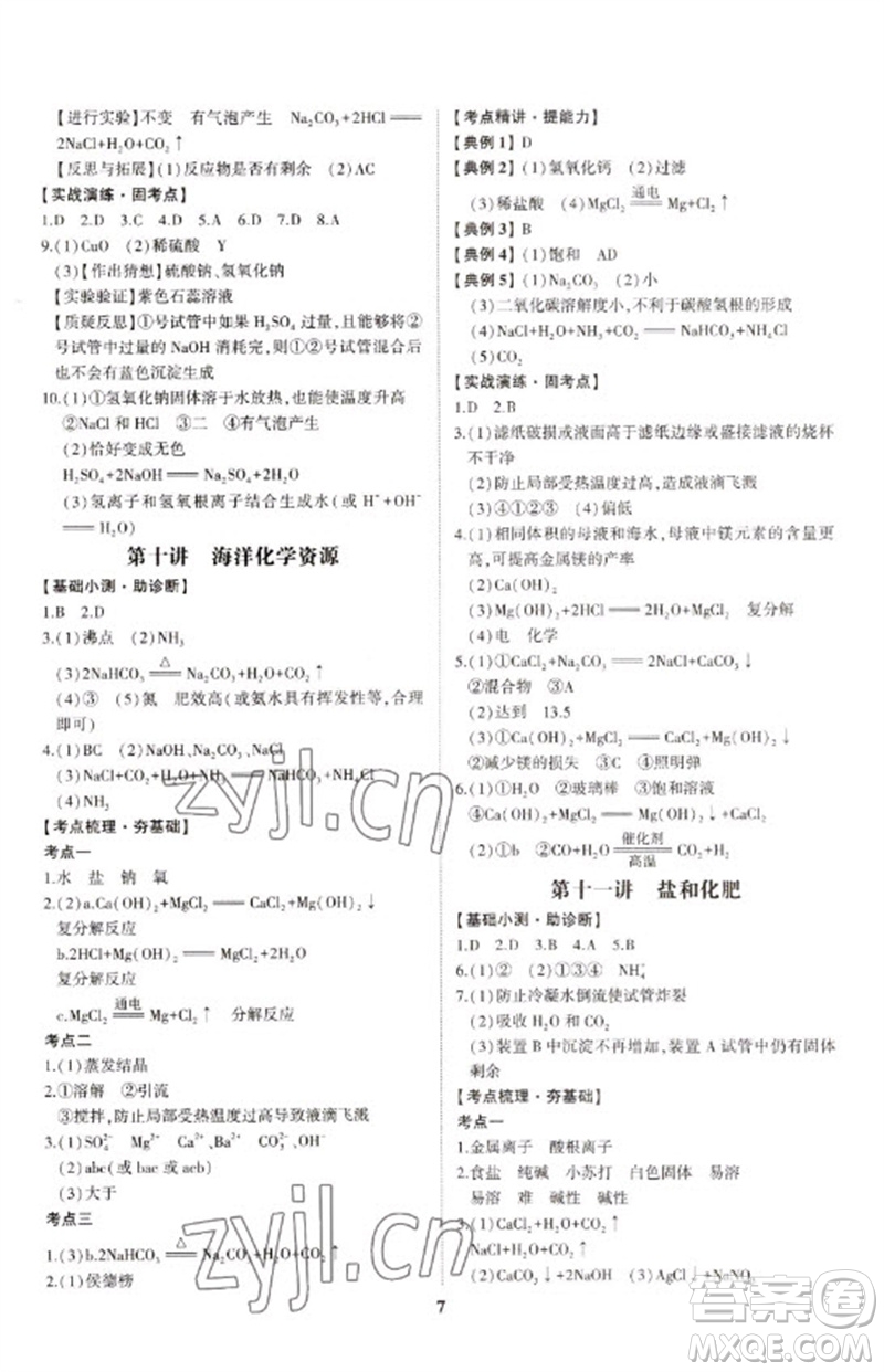 山東科學技術出版社2023初中總復習手冊九年級化學通用版參考答案