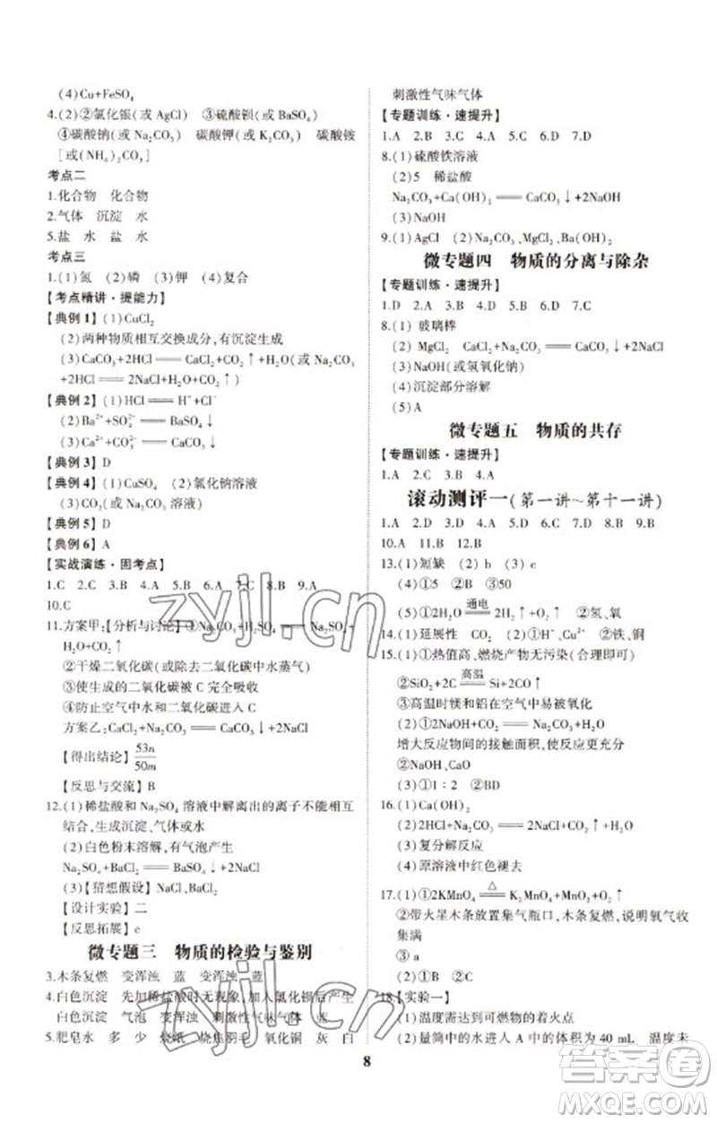 山東科學技術出版社2023初中總復習手冊九年級化學通用版參考答案