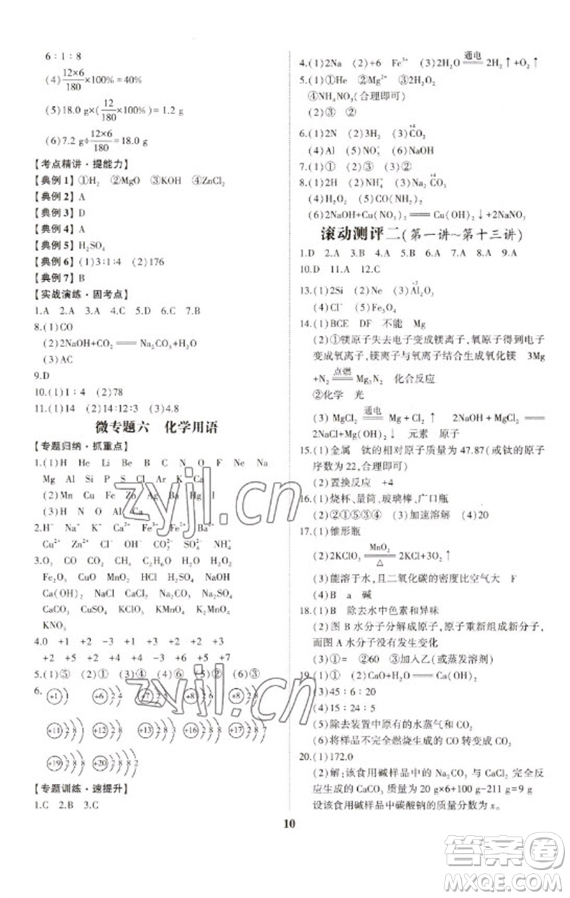 山東科學技術出版社2023初中總復習手冊九年級化學通用版參考答案
