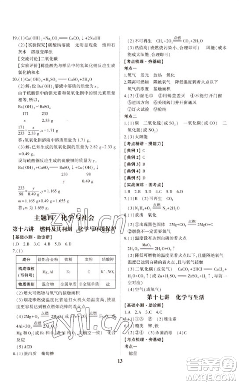 山東科學技術出版社2023初中總復習手冊九年級化學通用版參考答案