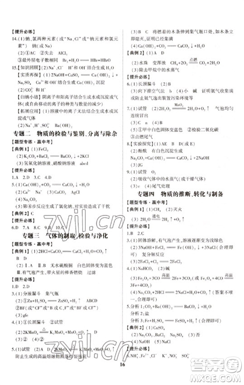 山東科學技術出版社2023初中總復習手冊九年級化學通用版參考答案