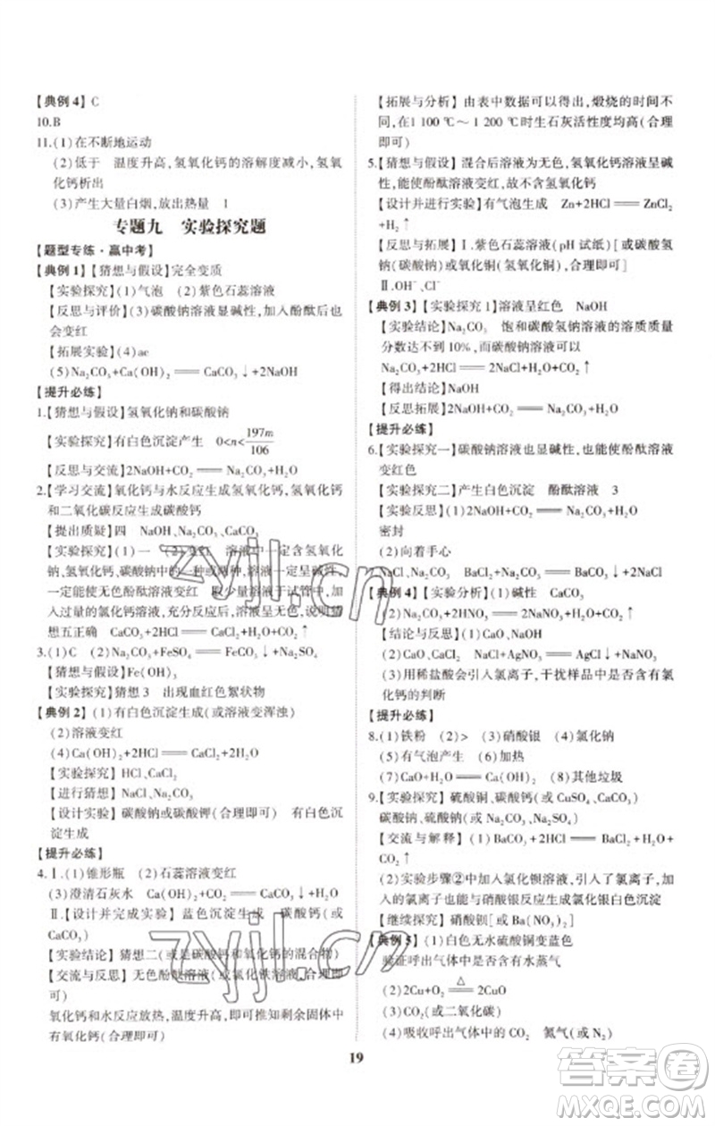 山東科學技術出版社2023初中總復習手冊九年級化學通用版參考答案