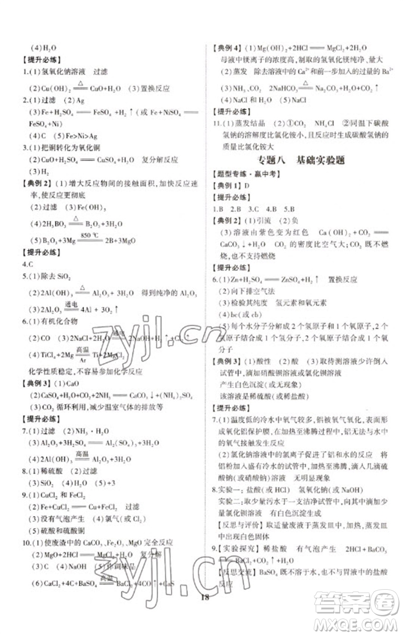 山東科學技術出版社2023初中總復習手冊九年級化學通用版參考答案