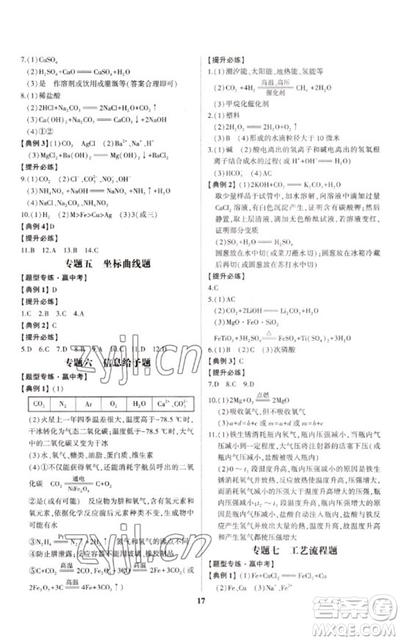 山東科學技術出版社2023初中總復習手冊九年級化學通用版參考答案
