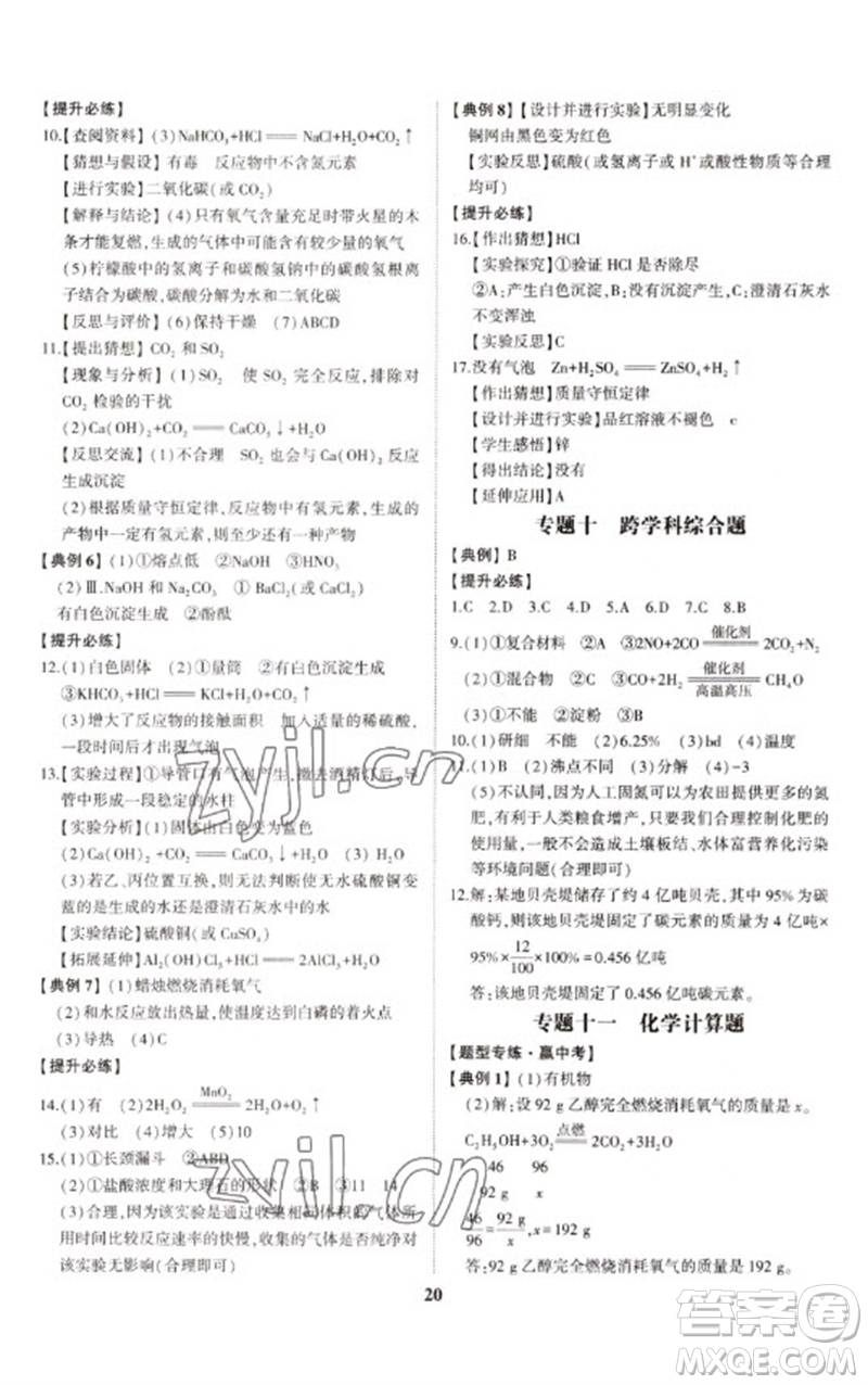 山東科學技術出版社2023初中總復習手冊九年級化學通用版參考答案