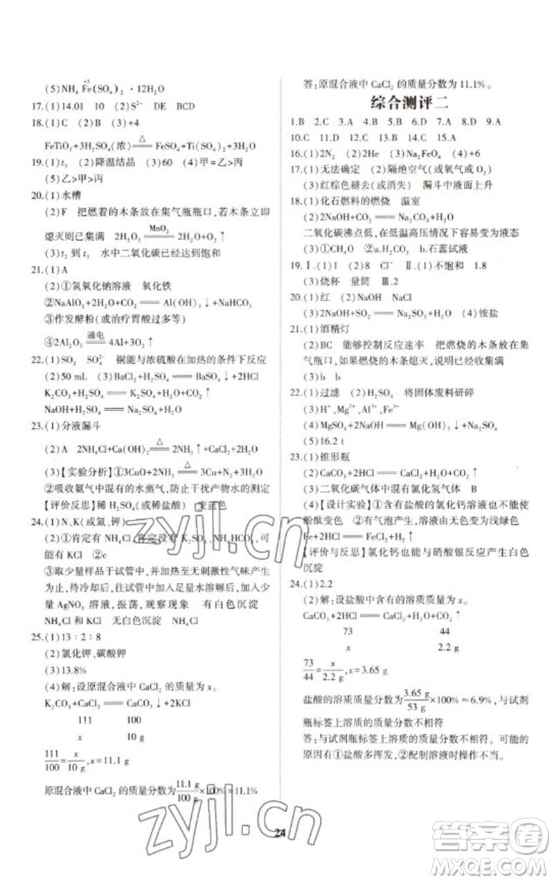 山東科學技術出版社2023初中總復習手冊九年級化學通用版參考答案
