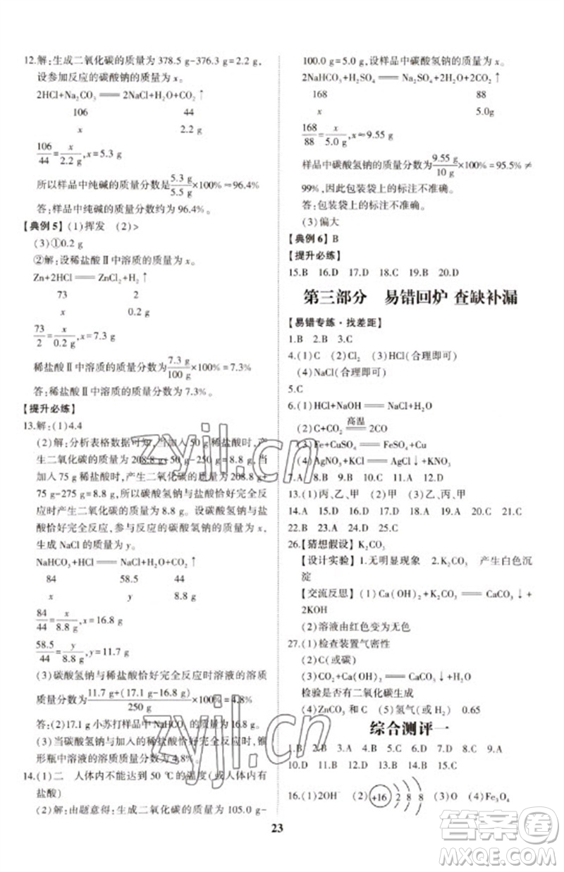 山東科學技術出版社2023初中總復習手冊九年級化學通用版參考答案