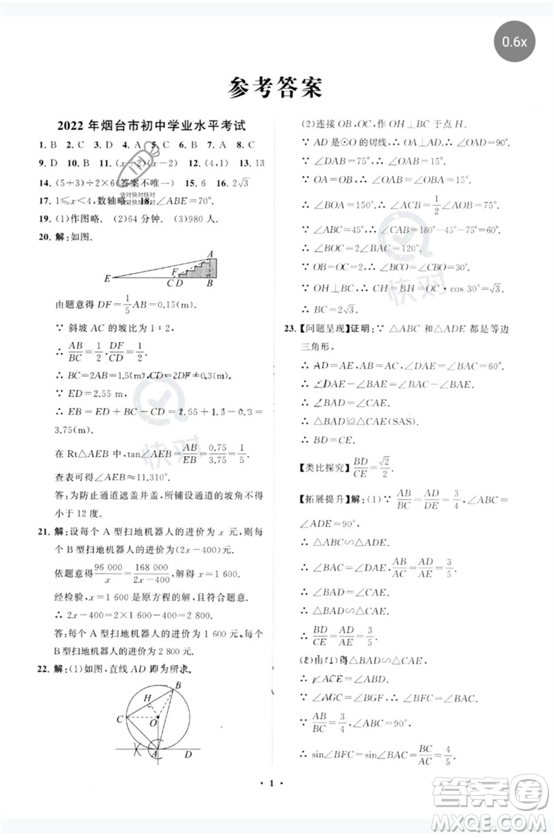 山東教育出版社2023初中總復(fù)習(xí)手冊分層專題卷九年級數(shù)學(xué)五四制通用版煙臺專版參考答案