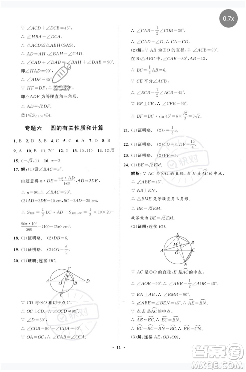 山東教育出版社2023初中總復(fù)習(xí)手冊分層專題卷九年級數(shù)學(xué)五四制通用版煙臺專版參考答案