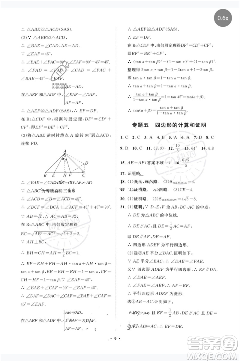 山東教育出版社2023初中總復(fù)習(xí)手冊分層專題卷九年級數(shù)學(xué)五四制通用版煙臺專版參考答案