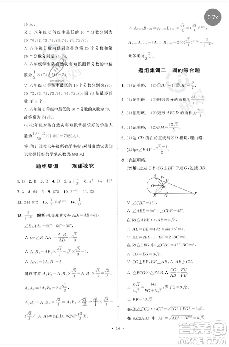 山東教育出版社2023初中總復(fù)習(xí)手冊分層專題卷九年級數(shù)學(xué)五四制通用版煙臺專版參考答案
