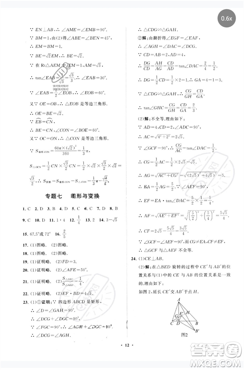 山東教育出版社2023初中總復(fù)習(xí)手冊分層專題卷九年級數(shù)學(xué)五四制通用版煙臺專版參考答案