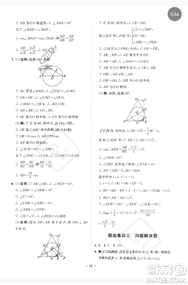 山東教育出版社2023初中總復(fù)習(xí)手冊分層專題卷九年級數(shù)學(xué)五四制通用版煙臺專版參考答案