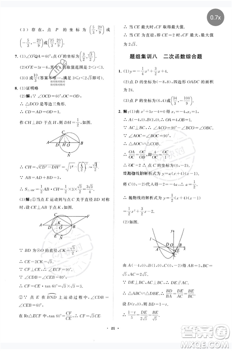 山東教育出版社2023初中總復(fù)習(xí)手冊分層專題卷九年級數(shù)學(xué)五四制通用版煙臺專版參考答案