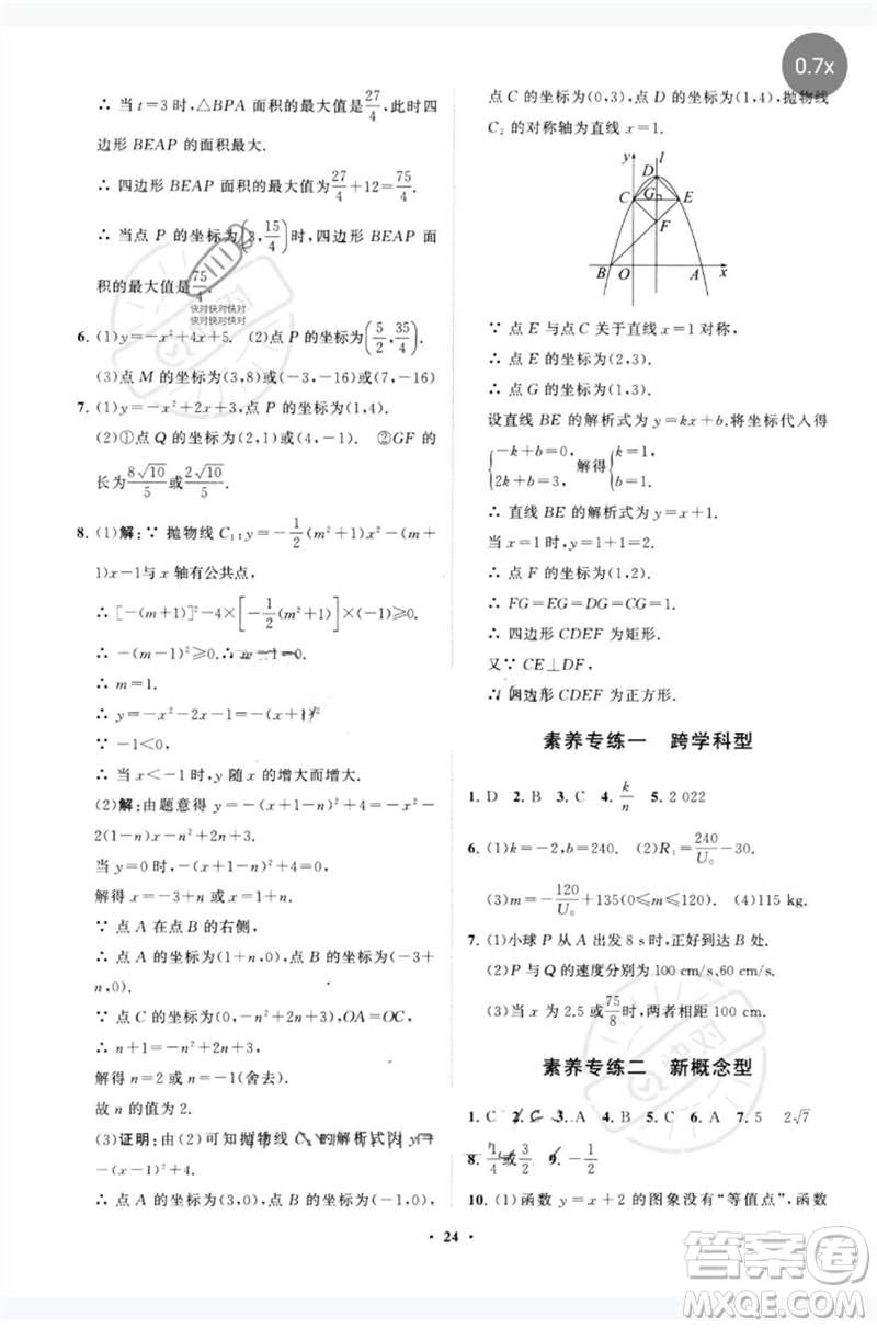 山東教育出版社2023初中總復(fù)習(xí)手冊分層專題卷九年級數(shù)學(xué)五四制通用版煙臺專版參考答案