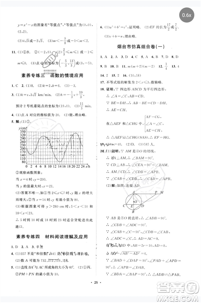 山東教育出版社2023初中總復(fù)習(xí)手冊分層專題卷九年級數(shù)學(xué)五四制通用版煙臺專版參考答案