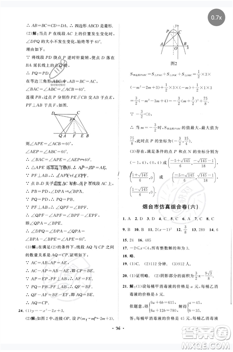 山東教育出版社2023初中總復(fù)習(xí)手冊分層專題卷九年級數(shù)學(xué)五四制通用版煙臺專版參考答案
