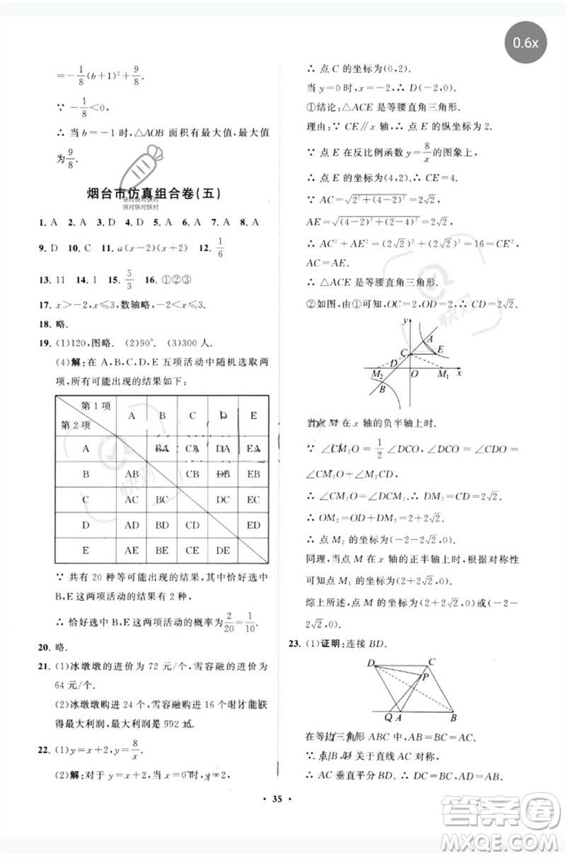 山東教育出版社2023初中總復(fù)習(xí)手冊分層專題卷九年級數(shù)學(xué)五四制通用版煙臺專版參考答案