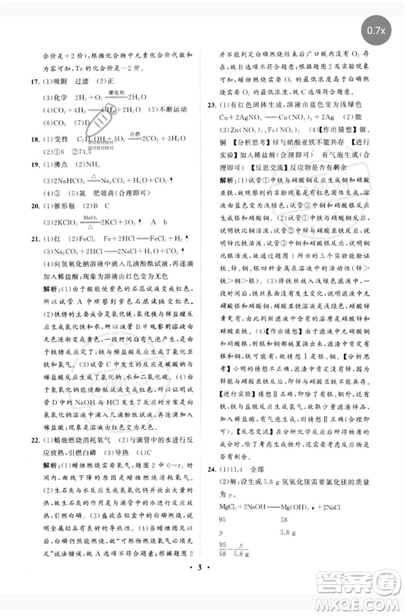 山東教育出版社2023初中總復(fù)習(xí)手冊分層專題卷九年級化學(xué)五四制通用版煙臺專版參考答案