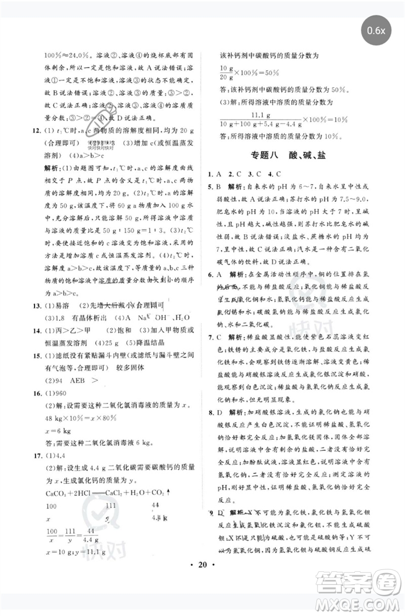 山東教育出版社2023初中總復(fù)習(xí)手冊分層專題卷九年級化學(xué)五四制通用版煙臺專版參考答案