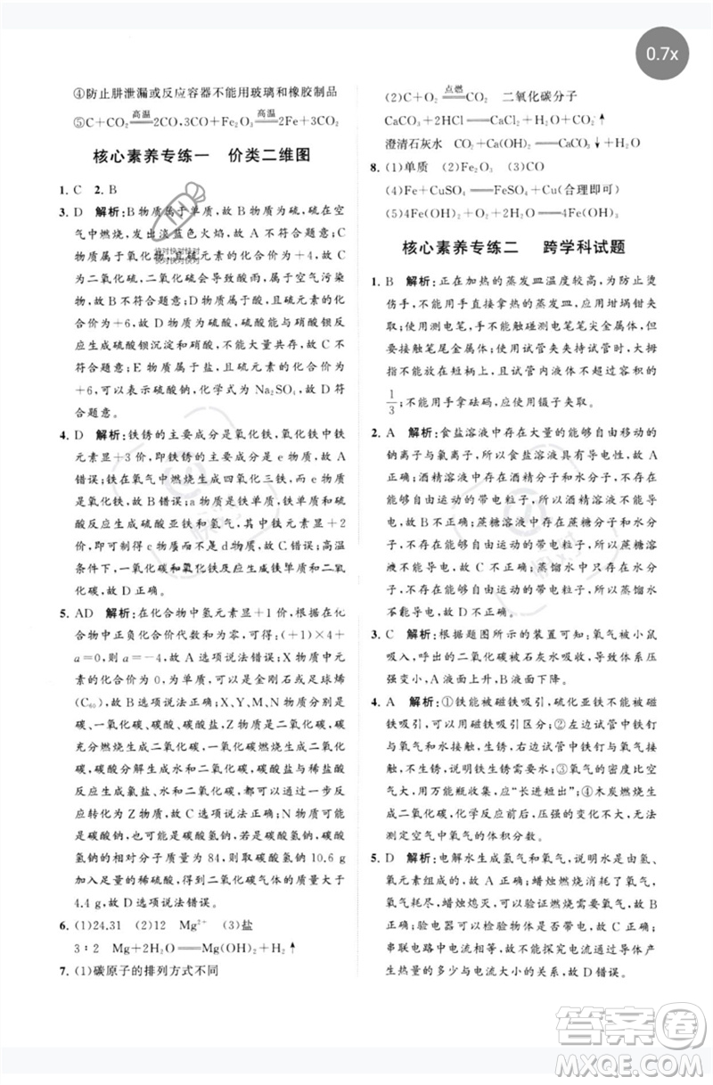 山東教育出版社2023初中總復(fù)習(xí)手冊分層專題卷九年級化學(xué)五四制通用版煙臺專版參考答案