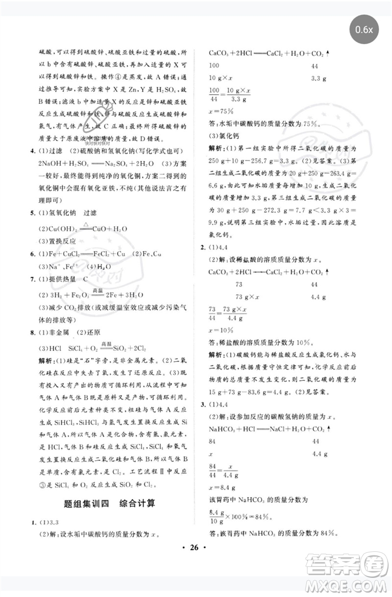 山東教育出版社2023初中總復(fù)習(xí)手冊分層專題卷九年級化學(xué)五四制通用版煙臺專版參考答案