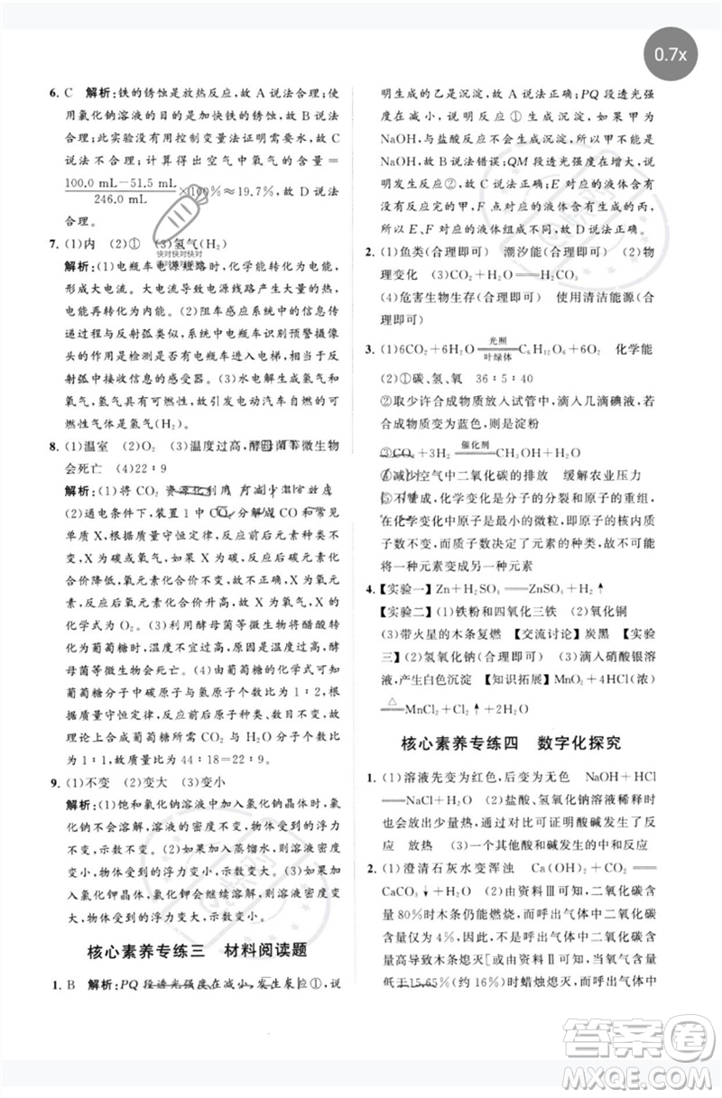 山東教育出版社2023初中總復(fù)習(xí)手冊分層專題卷九年級化學(xué)五四制通用版煙臺專版參考答案