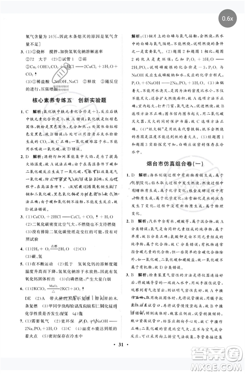 山東教育出版社2023初中總復(fù)習(xí)手冊分層專題卷九年級化學(xué)五四制通用版煙臺專版參考答案