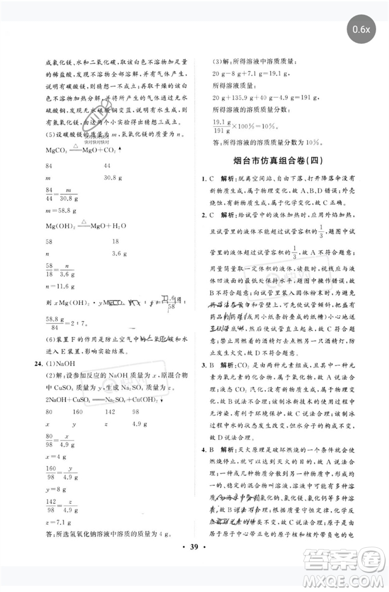 山東教育出版社2023初中總復(fù)習(xí)手冊分層專題卷九年級化學(xué)五四制通用版煙臺專版參考答案